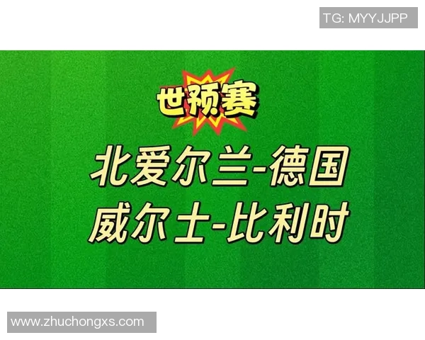 比利时与爱尔兰精彩对决视频回顾及赛后分析